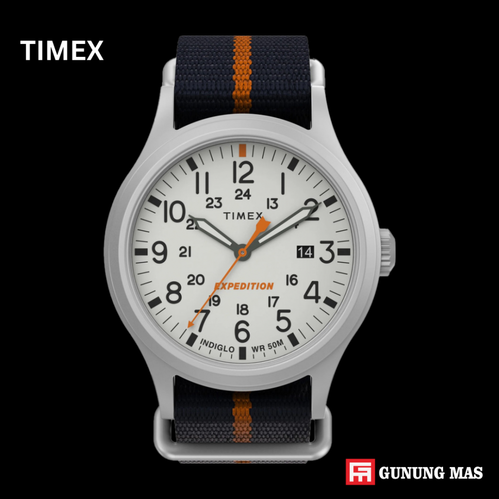 TIMEX TW2V22800V5
