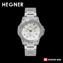 HEGNER HW 1684G 2