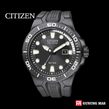 CITIZEN BNOO95-O8E